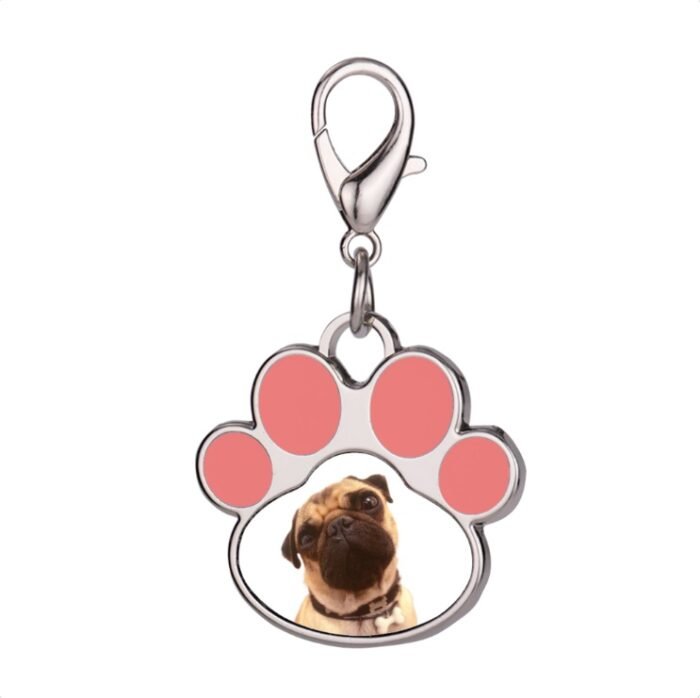 personalized-pet-tag